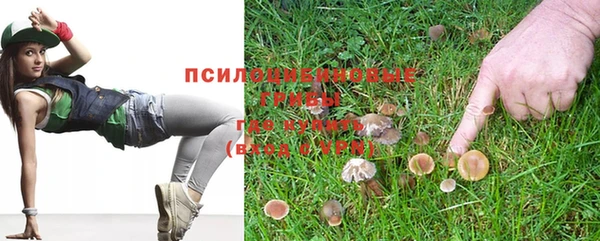 ешки Алексеевка