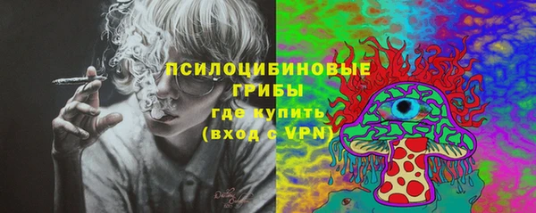 ешки Алексеевка