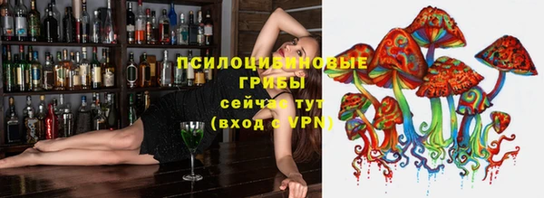 ешки Алексеевка