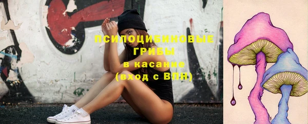 ешки Алексеевка