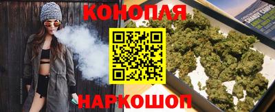 крисы Тверь