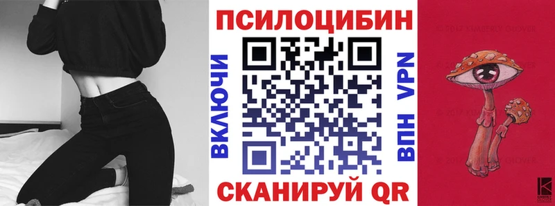 Псилоцибиновые грибы Psilocybe  Обнинск 