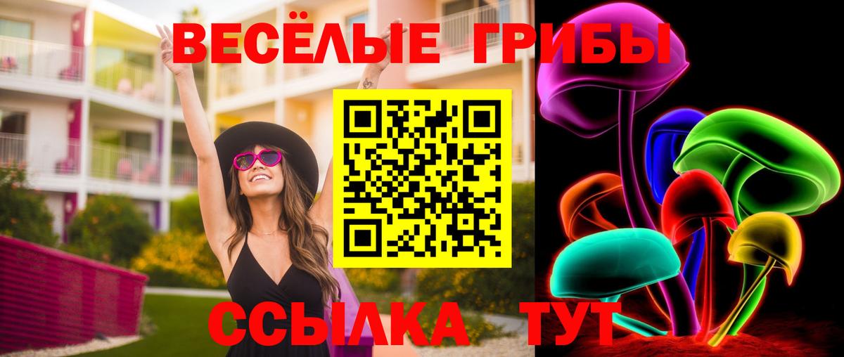 Псилоцибиновые грибы Psilocybine cubensis  Вход с VPN  Галлюциногенные грибы мицелий  Обнинск 